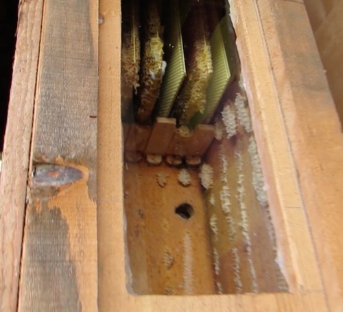 2A Added more honeycomb, foundation for this year copy