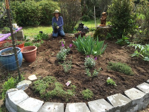 2606 Sue in baby bear bed, 4-4-16