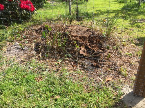 2738 Stump west side, before shot, 4-15-16