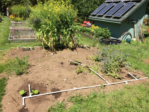 3036 Creative drip watering, 5-10-16