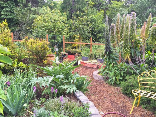 3146 Entrance into Sue's secret garden, 5-18-16